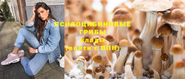 MESCALINE Белокуриха